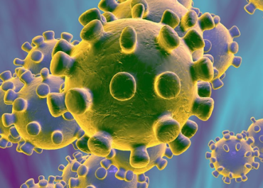 COVID-19 | @desconfinamento.pt